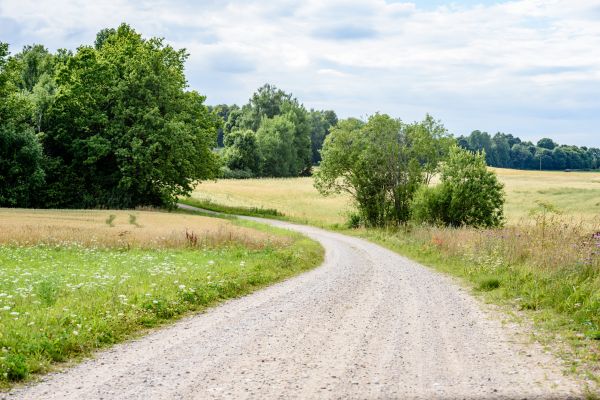 Stone Driveway Repair in Howell
