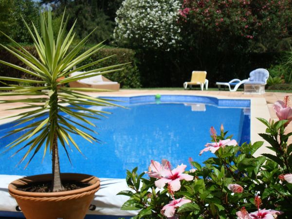 Pool Terrace Renovation in Howell